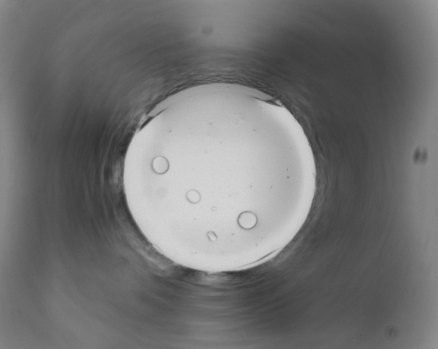 X0000111840336200909031710