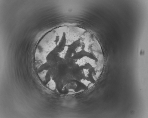 X0000111840337200909031709