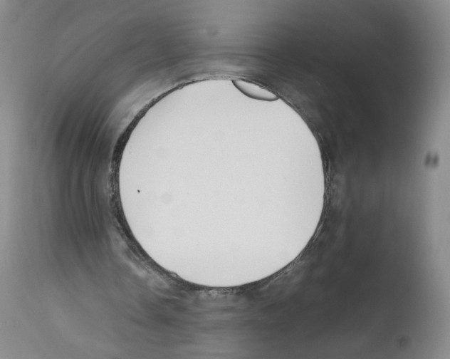 X0000111840338200909031709