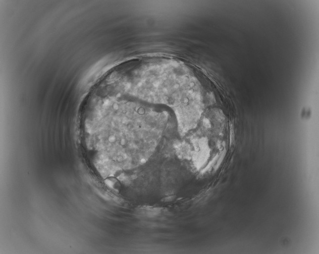 X0000111840339200909031709