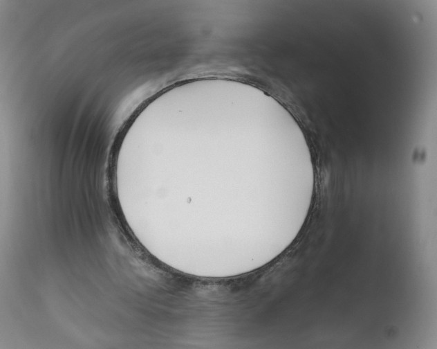 X0000111840340200909031709