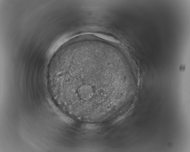 X0000111840341200909031709