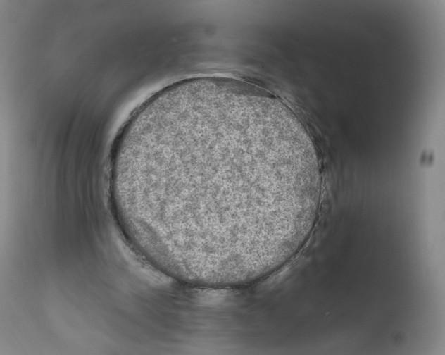 X0000111840342200909031709