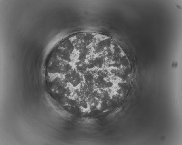 X0000111840343200909031709