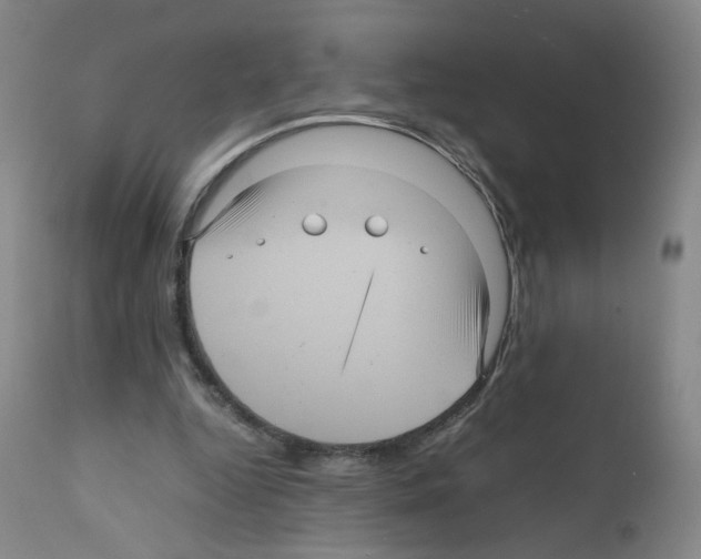 X0000111840344200909031709