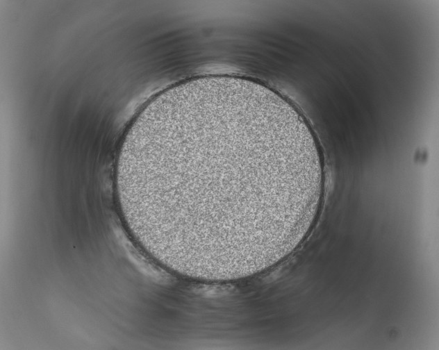 X0000111840345200909031709