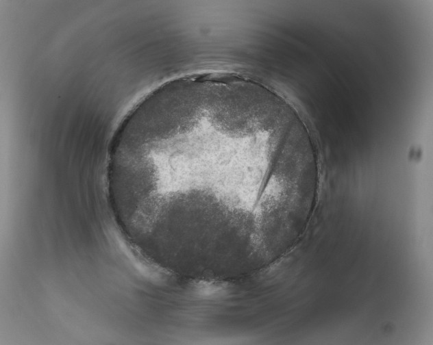 X0000111840346200909031709