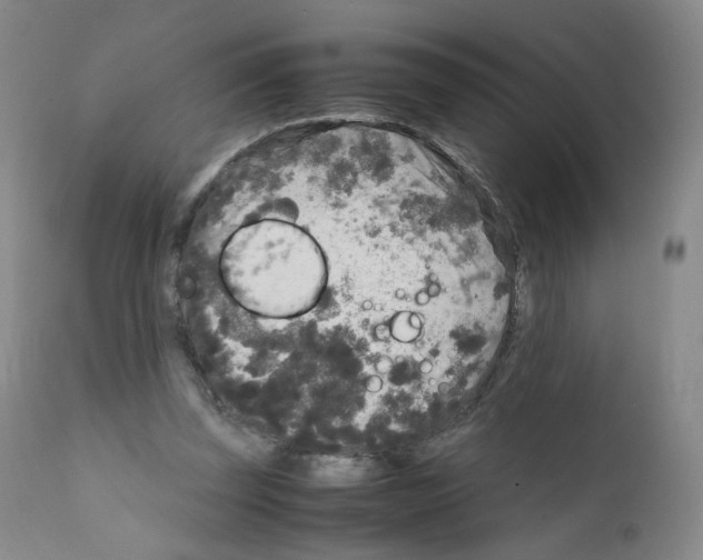 X0000111840347200909031709