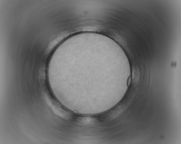 X0000111840348200909031709