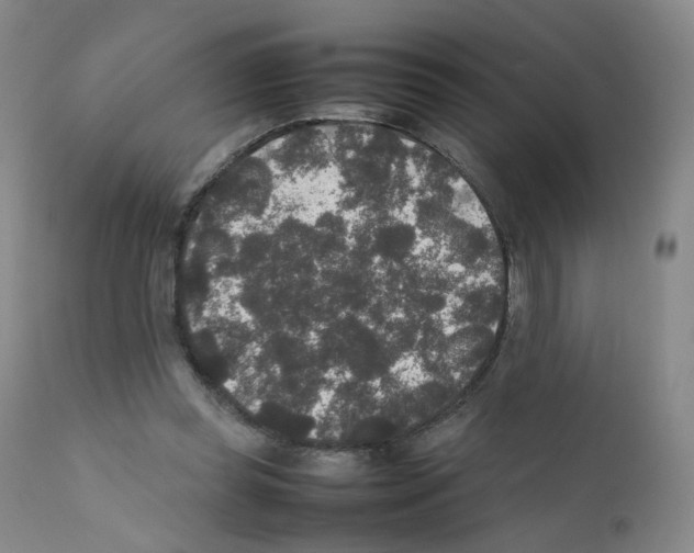 X0000111840349200909031709