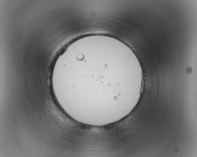 X0000111840350200909031709