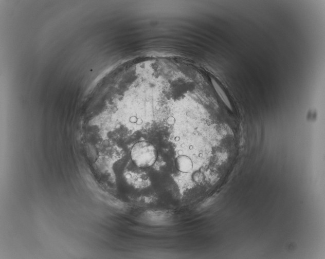 X0000111840351200909031709