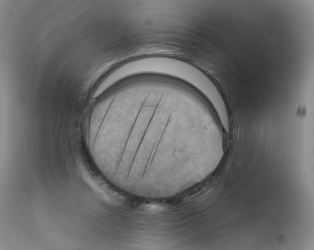 X0000111840352200909031709