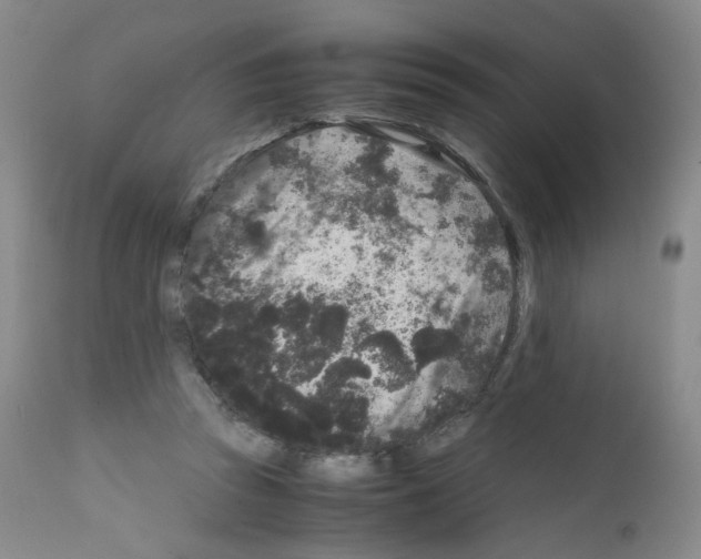 X0000111840353200909031709