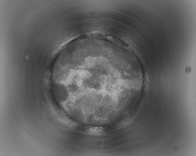 X0000111840355200909031709