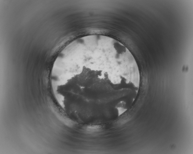 X0000111840357200909031709