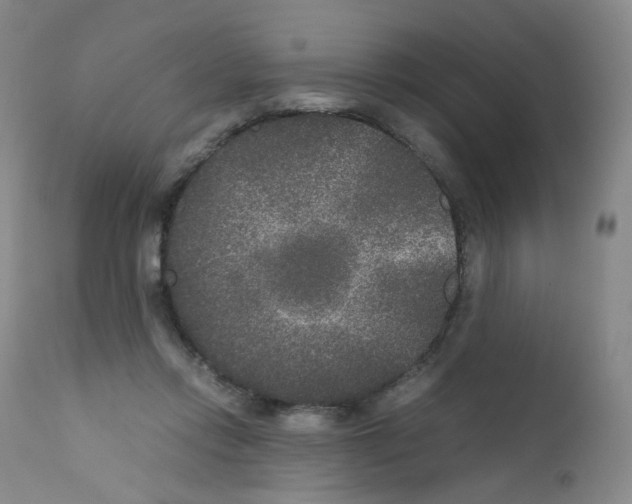 X0000111840358200909031709