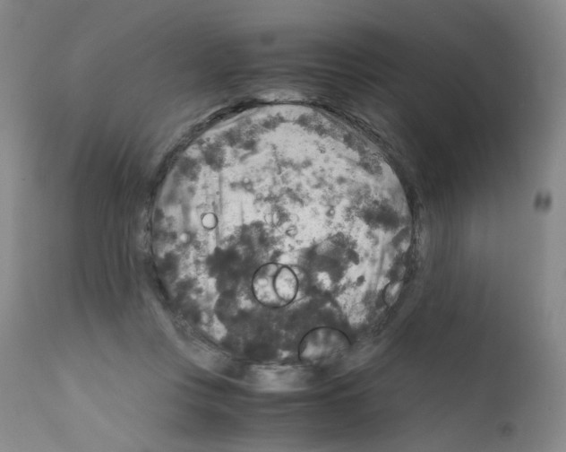 X0000111840359200909031709