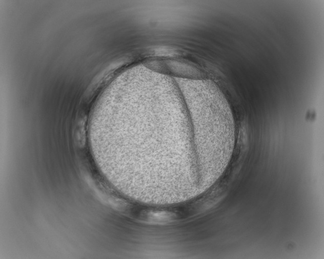 X0000111840360200909031709