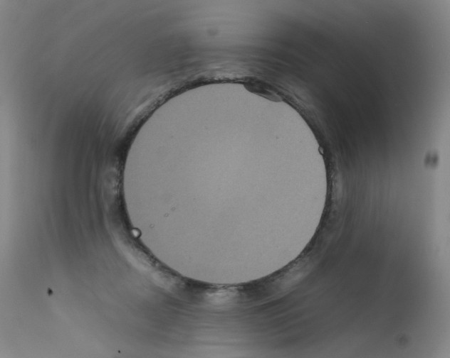 X0000111840362200909031709