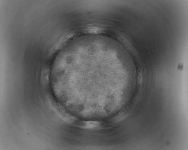 X0000111840363200909031709