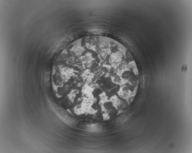 X0000111840365200909031709