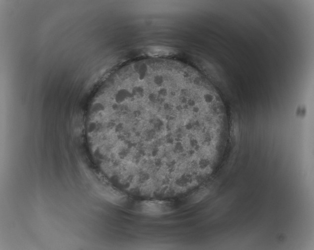 X0000111840367200909031709