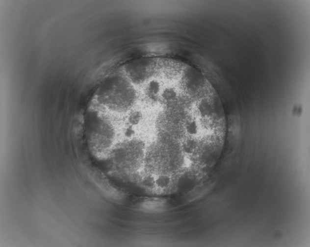 X0000111840369200909031709