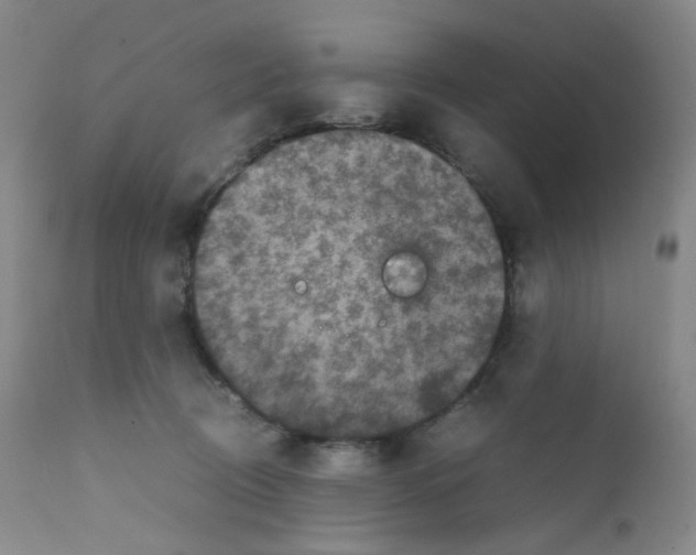 X0000111840370200909031709