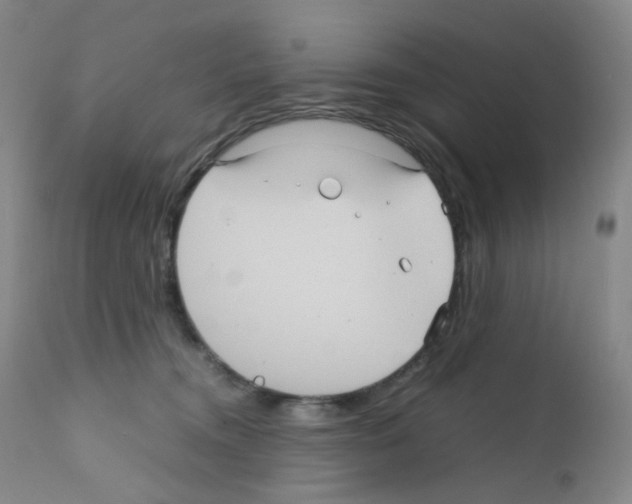 X0000111840372200909031709