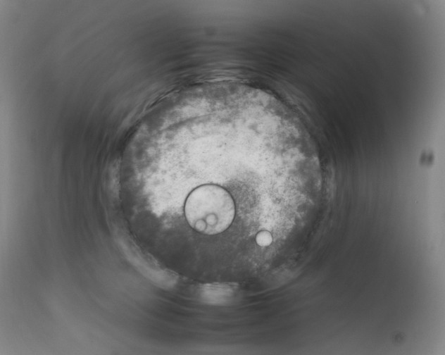 X0000111840373200909031709