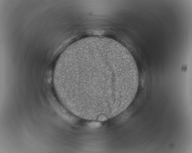 X0000111840374200909031710