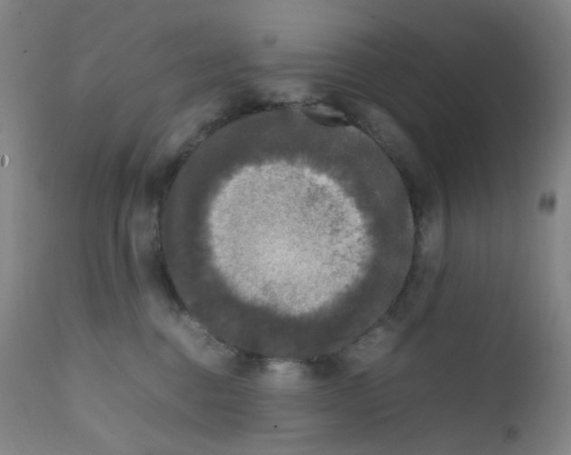 X0000111840376200909031710