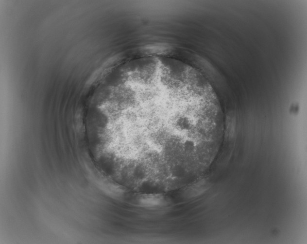 X0000111840377200909031710