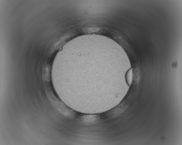 X0000111840378200909031710