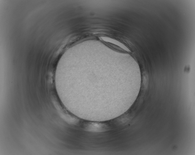 X0000111840379200909031710