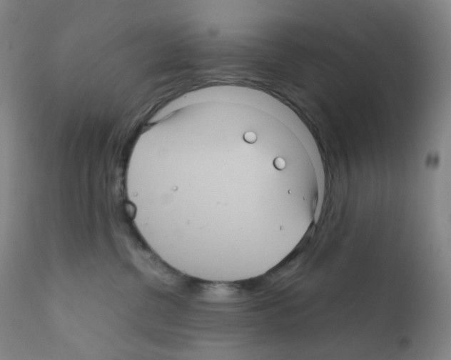 X0000111840380200909031710