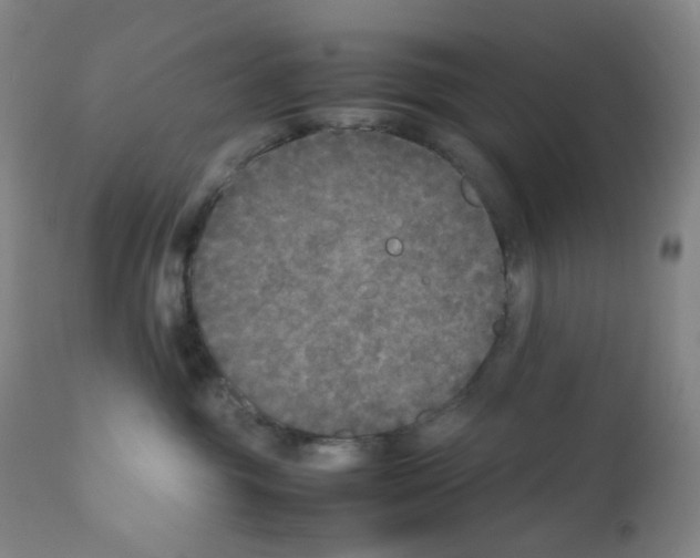 X0000111840381200909031710