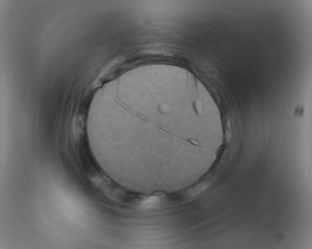 X0000111840382200909031710