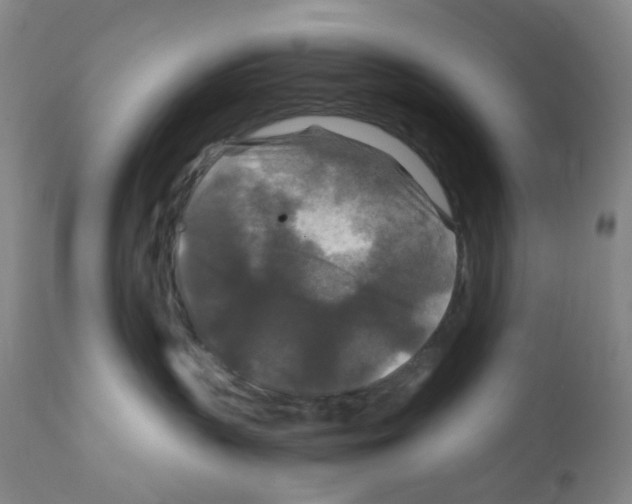 X0000111840383200909031710