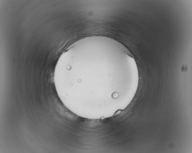 X0000111840384200909031710