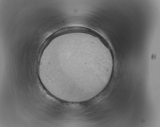 X0000111840385200909031709