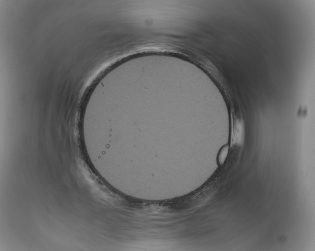 X0000111840387200909031709