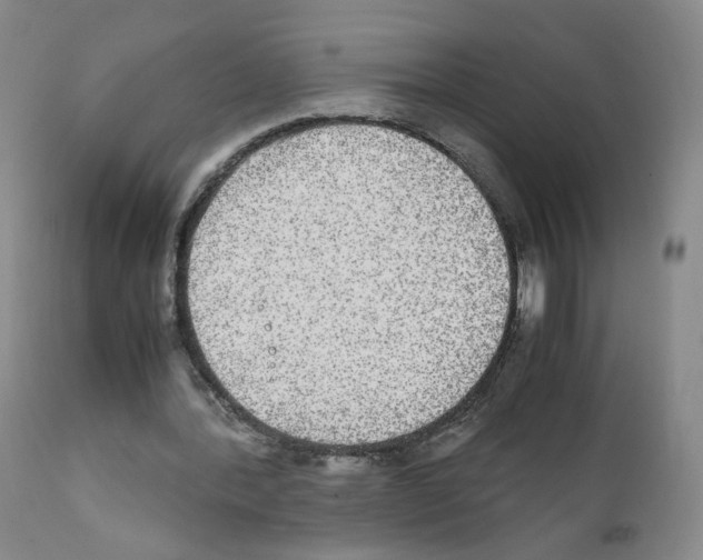 X0000111840388200909031709