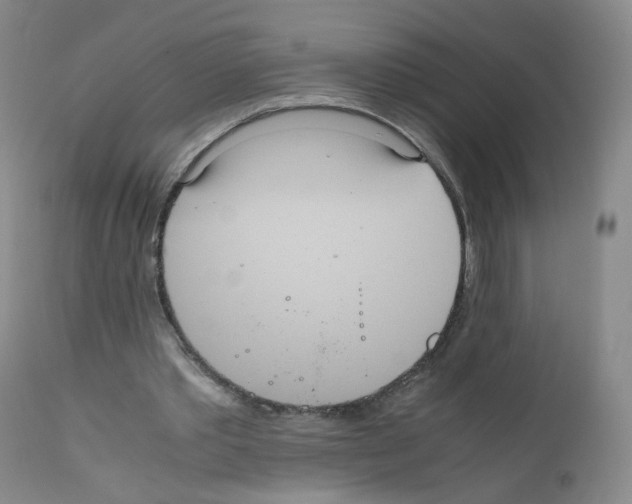 X0000111840389200909031709