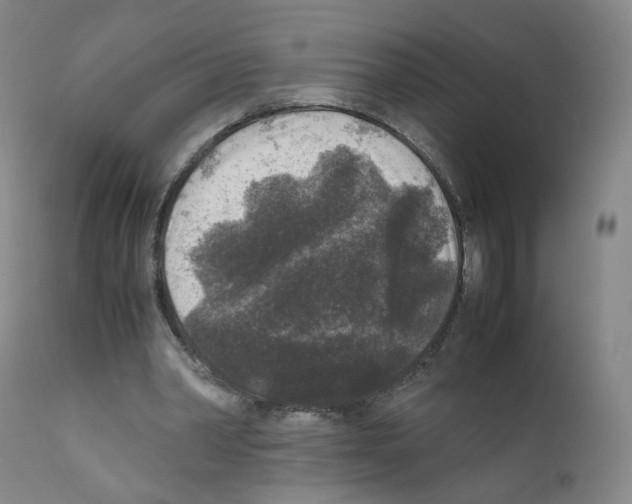 X0000111840390200909031709