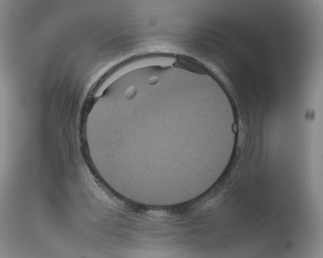 X0000111840391200909031709