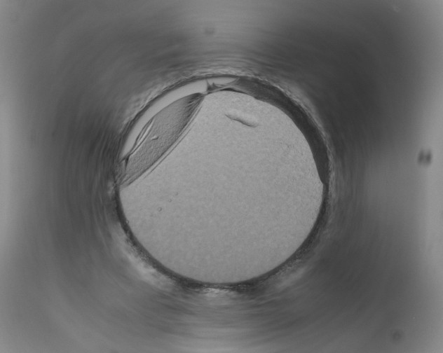 X0000111840393200909031709