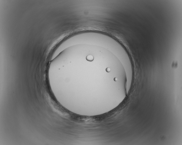 X0000111840395200909031709