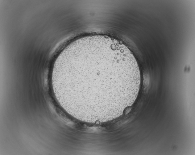 X0000111840396200909031709